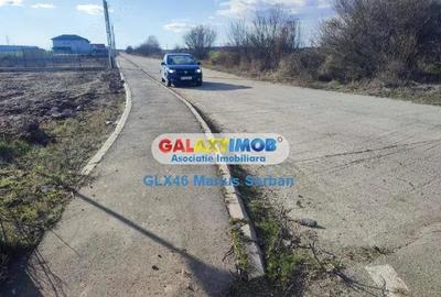 Vanzare teren intravilan Ulmi - 2