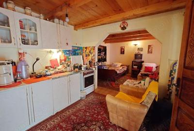 Cabana, anexe si 2000 mp teren intravilan in Taratel, Brad - 13