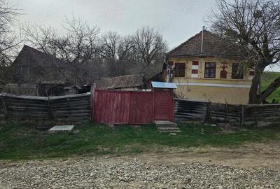 Casa de vanzare la tara - 3