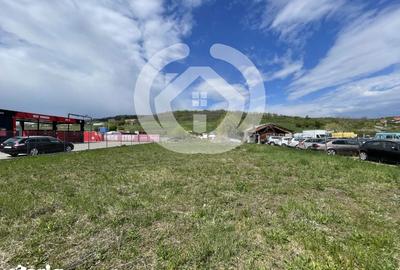 Teren de 2300 mp, în Cristian - 3