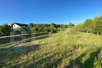 TEREN INTRAVILAN de VANZARE Valea Rusului, priveli?te p - 3