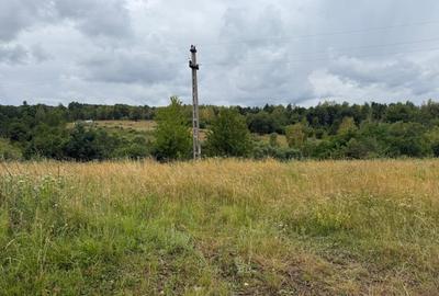 Teren de vanzare Balcesti, ideal pentru investitie si constructie cabane - 4