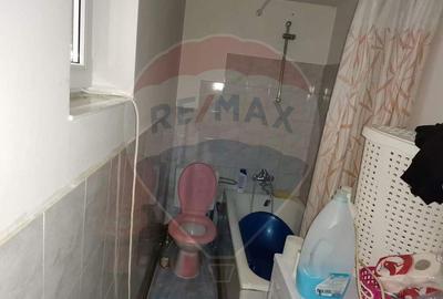 Casa traditionala De Vanzare cu 5 Hectare de teren - 10