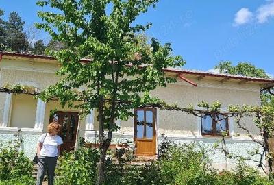 Casă cu Teren 1500 Mp în Central - 2
