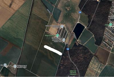 Teren 2.300 mp intravilan, cartier Magnolia Paulesti, 5 km de Ploiesti Teren 2.300 mp intravilan, cartier Magnolia Paulesti, 5 km de Ploiesti - 4
