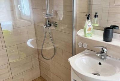 Cabana cu 4 dormitoare, foisor, ciubar, Statiunea Muntele Ba - 15