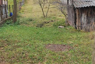 Teren de 2900 mp, în Aluniș - 3