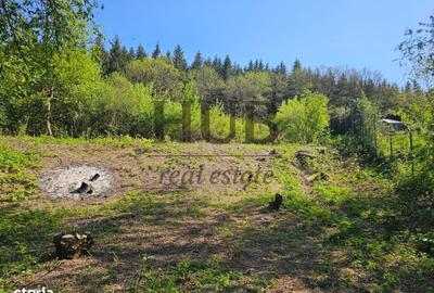 Teren de 3128 mp, în Mărgineni - 3