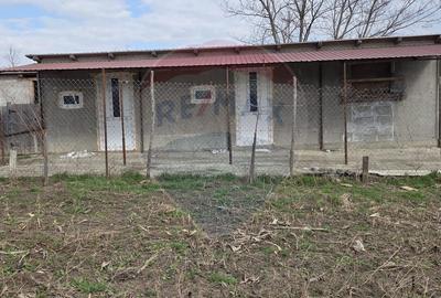 Casă cu 4 camere cu Teren 614 Mp în Ștefănești