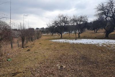 Teren Construcții extravilan de 10000 mp, în Bod - 9