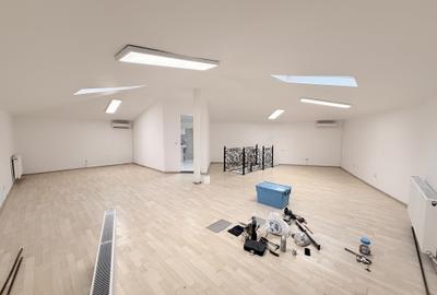 Casa spatioasa - individuala- zona Crangasi - 18