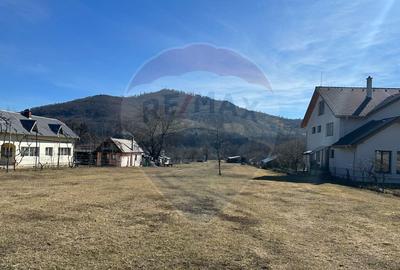 Teren de 3606 mp, în Pângărați - 8