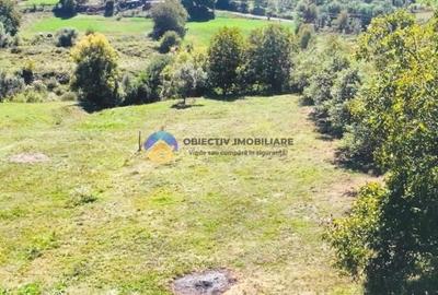 TEREN intravilan  2510 mp BORLEȘTI - ȘOVOAIA - 5