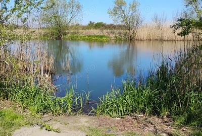 Casă cu 3 camere cu Teren 1000 Mp în Utvin - 5