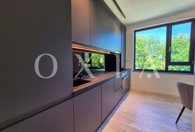 AX1068 Dumbravita, Bulevardul Petre Tutea, Prima Inchiriere - 3