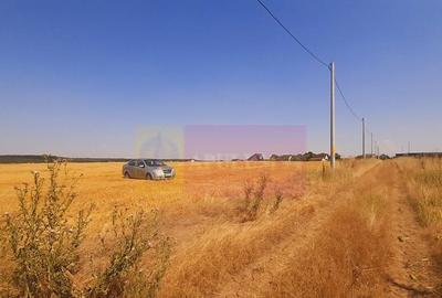 Teren pentru casa/case in Brane?ti pe strada Topora?i - 22