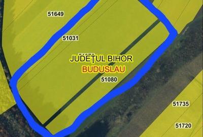 Spațiu comercial, în Buduslău - 1