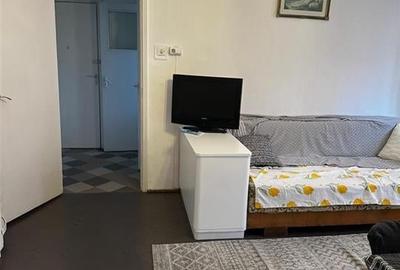 Apartament cu 2 camere, zona Astra- Pet Friendly - 3