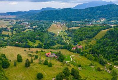 Teren Parcul National Bucegi/Str Glajarie Rau Mare/Panice... - 4