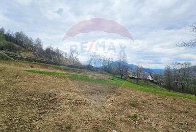 Teren Construcții intravilan de 2910 mp, în Chirițeni - 8