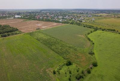 BALOTESTI - SAFTICA, TEREN INTRAVILAN 500 MP, DESCHIDERE 21 - 10