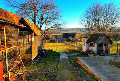 Casă cu 3 camere cu Teren 741 Mp în Sântămărie - 4