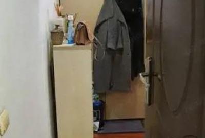 Duplex 2 camere zona Faget - 2