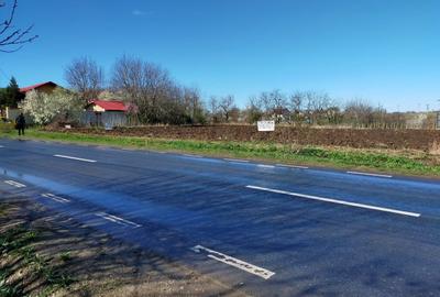 Teren în Dascălu - 1