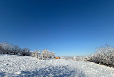 Teren Construcții intravilan de 500 mp, în Tohănița - 3