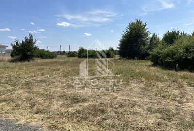 Parcela de teren 916 mp, front stradal 20 ml, Dumbravita - Lac. - 2