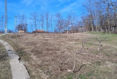 Teren Construcții intravilan de 1500 mp, în Muntenii de Jos - 5