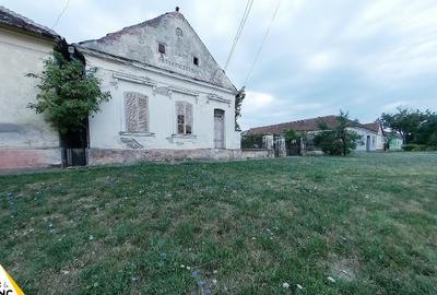 Casa traditionala din caramida de 534 mp cu 4 camere in Neudorf - 3