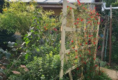 Vand Casa In Sendreni! - 1