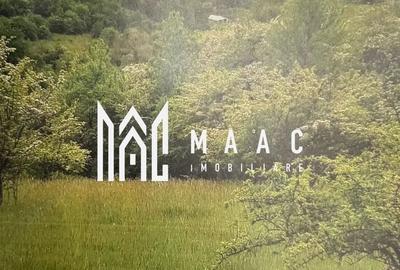 Teren agricol extravilan de 80000 mp, în Gușterița - 1