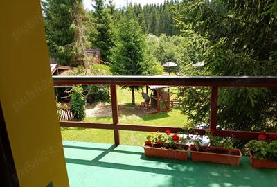 Vand constructii si teren langa VATRA DORNEI 199 000 euro negociabil-pret vechi 259 000 euro - 9