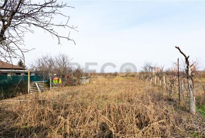 RECO Casa cu teren 3036mp, Bors - 1