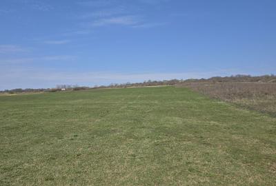 Teren de 25000 mp, în Hereclean - 3