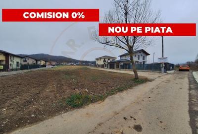 Teren intravilan Braileni-Valea Ursului, Toate Utilitatile - 1