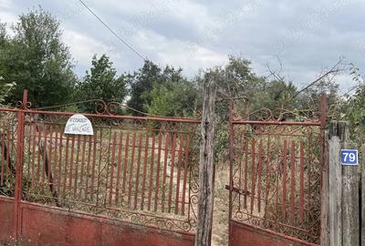 Mo?tenitor - Casa ?i teren intravilan la sosea de vanzare - 1