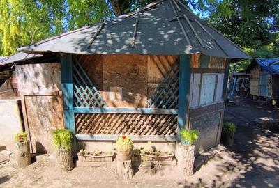 Vand casa, Perisor, Dolj - 4