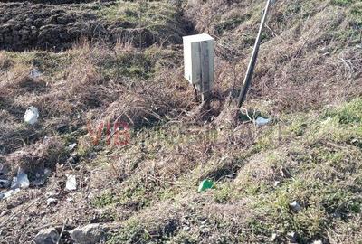 Teren de 16600 mp, în Bucovăț - 8