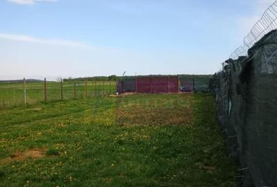 Teren cu constructie de vanzare in Urleta - 5