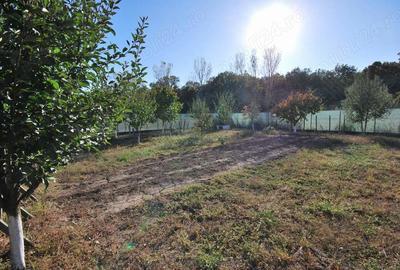 VanzariCase VileGradistea Manastirea Caldarusani - 3