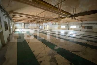 Hala+birouri, 15533mp utili, teren 21323mp, Freidorf - 2