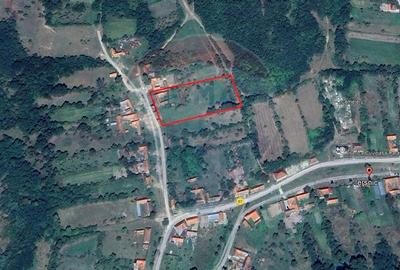 Casă Batraneasca cu 3 camere de vânzare - 7