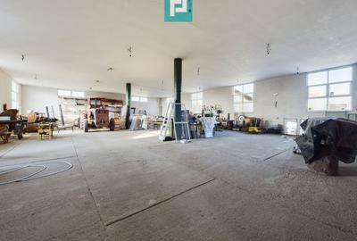 Spațiu comercial pe Cal.Aradului, Periam - 8