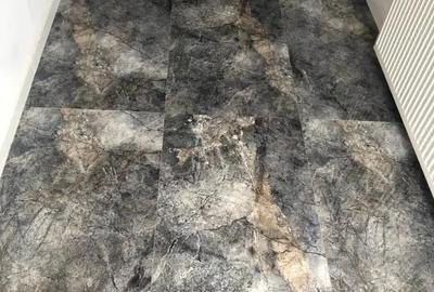 Vila deosebita de vanzare, P+1 Vila deosebita de vanzare, P+1 - 6