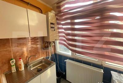 Apartament cu 2 camere decomandat, mobilat în Brazda lui Novac - 6