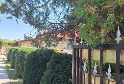 Casă cu 4 camere cu Teren 200 Mp în Reviga - 2