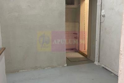 Spațiu comercial Calea Calarasilor - Popa Nan - 8